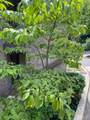 2138 Ohio Avenue - Photo 53