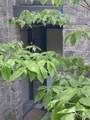 2138 Ohio Avenue - Photo 55