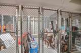 813 Broadway Street - Photo 30
