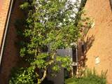 4901 Chalet Drive - Photo 1