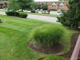 6646 Hearne Road - Photo 20