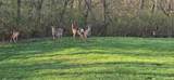 5592 Regimental Place - Photo 40