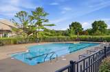 4331 Marival Way - Photo 37