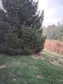 5320 Meadow Walk Lane - Photo 18