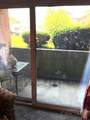 4906 Chalet Drive - Photo 6