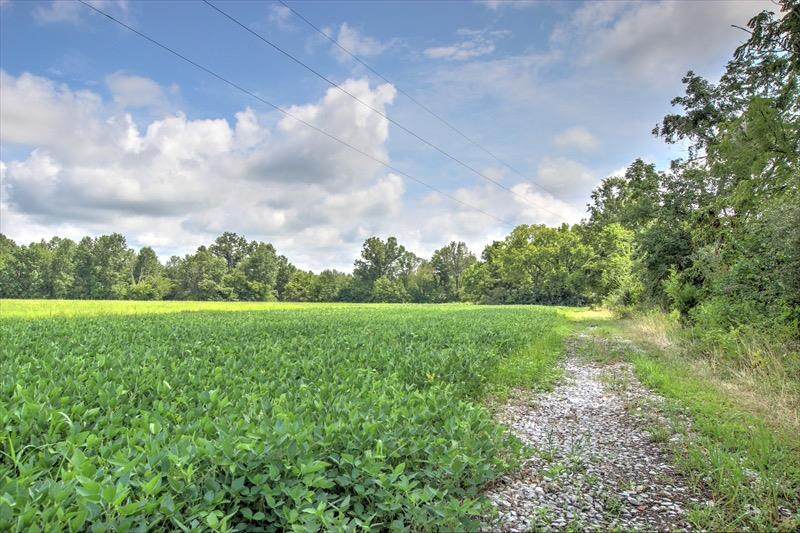 4940 Edwardsville Road - Photo 1