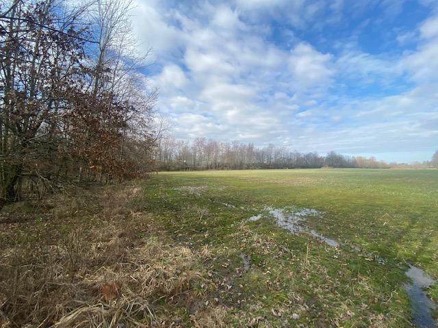 0 Steiman Road - Photo 1