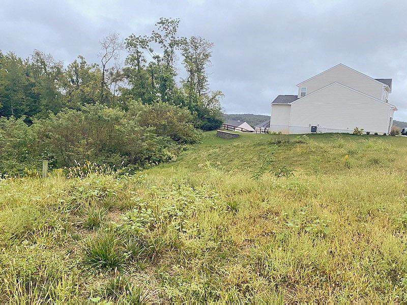 7113 Fort Scott Blvd - Photo 1