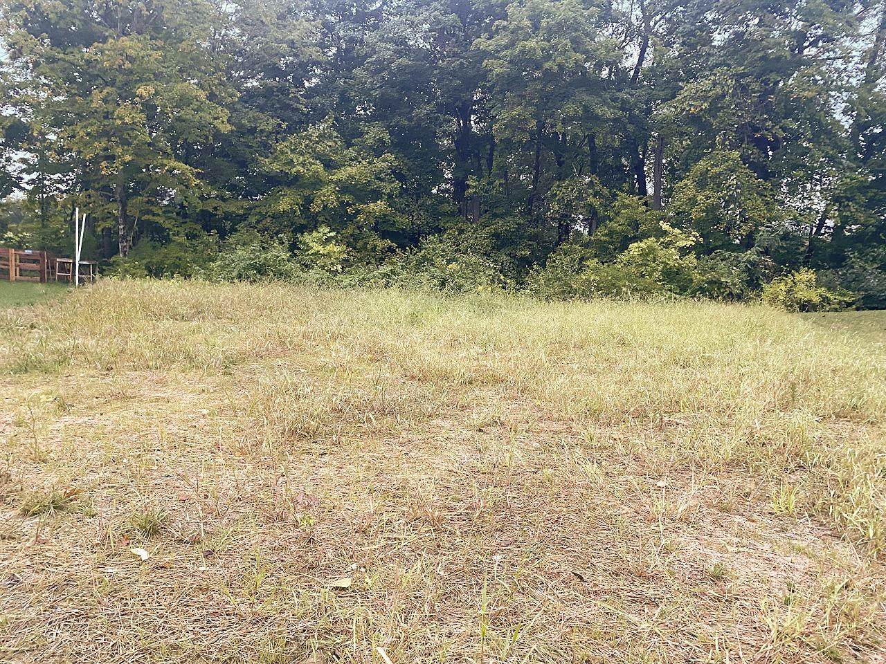 7218 Cadet Ct - Photo 1