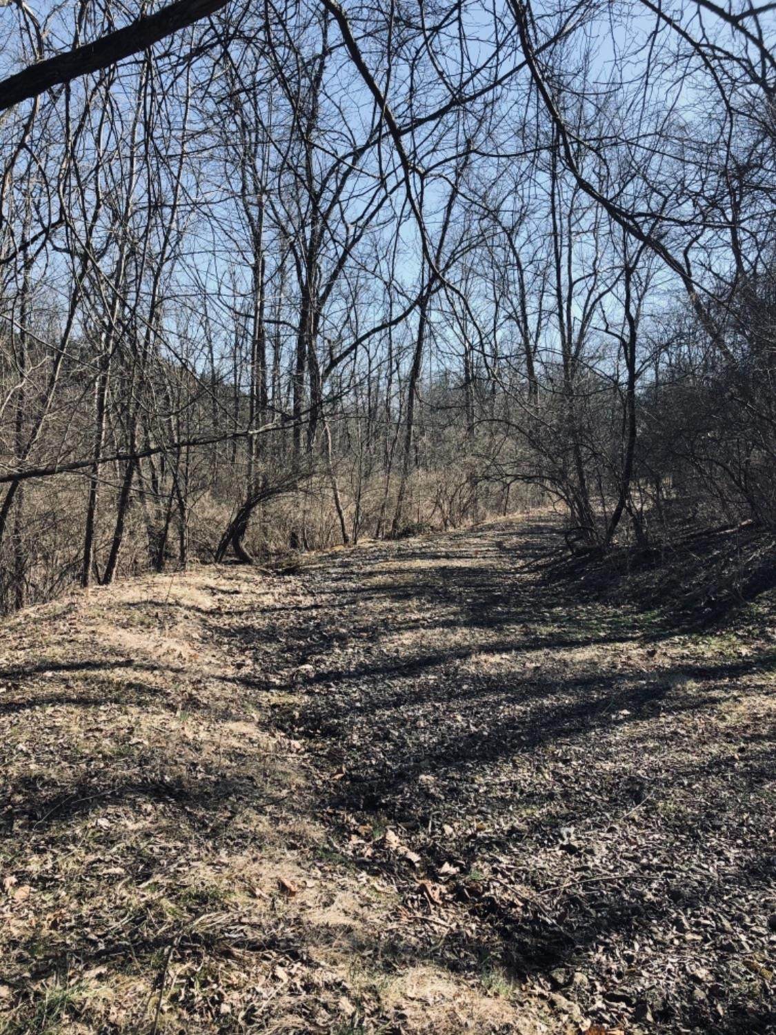 0 Watkins Starkey Rd - Photo 1