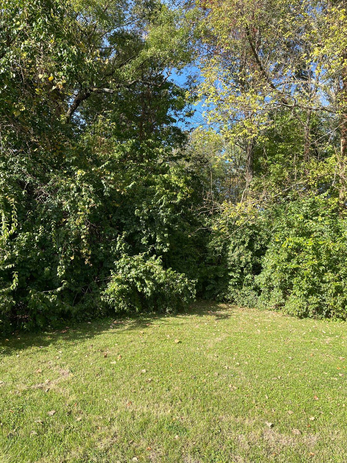 0 Main St - Photo 1