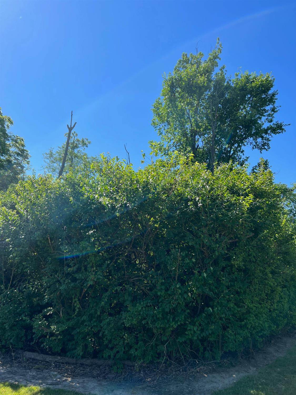 40 Cherrywood Lane - Photo 1