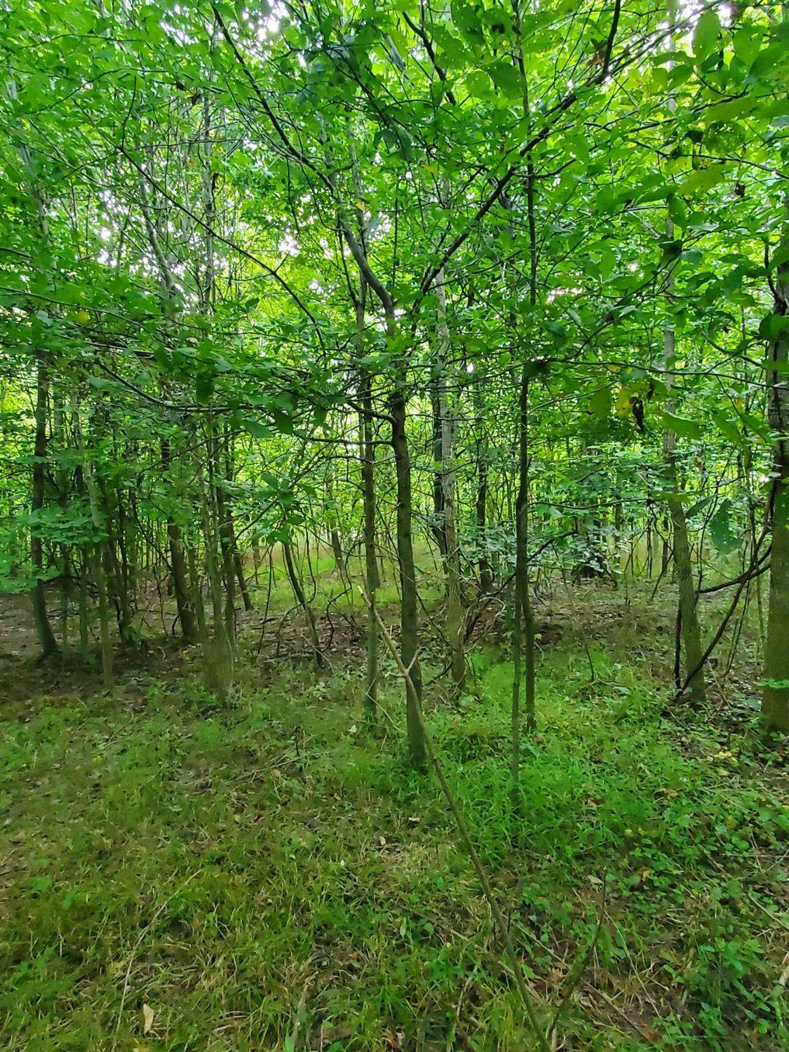 30 Nakiya Ln - Photo 1