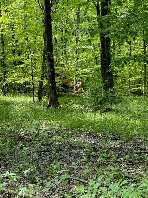 0 Moler Rd - Photo 1