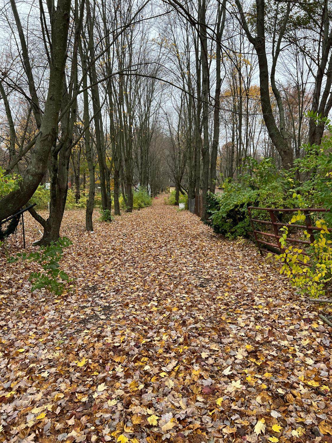 358 Nauvoo Rd - Photo 1