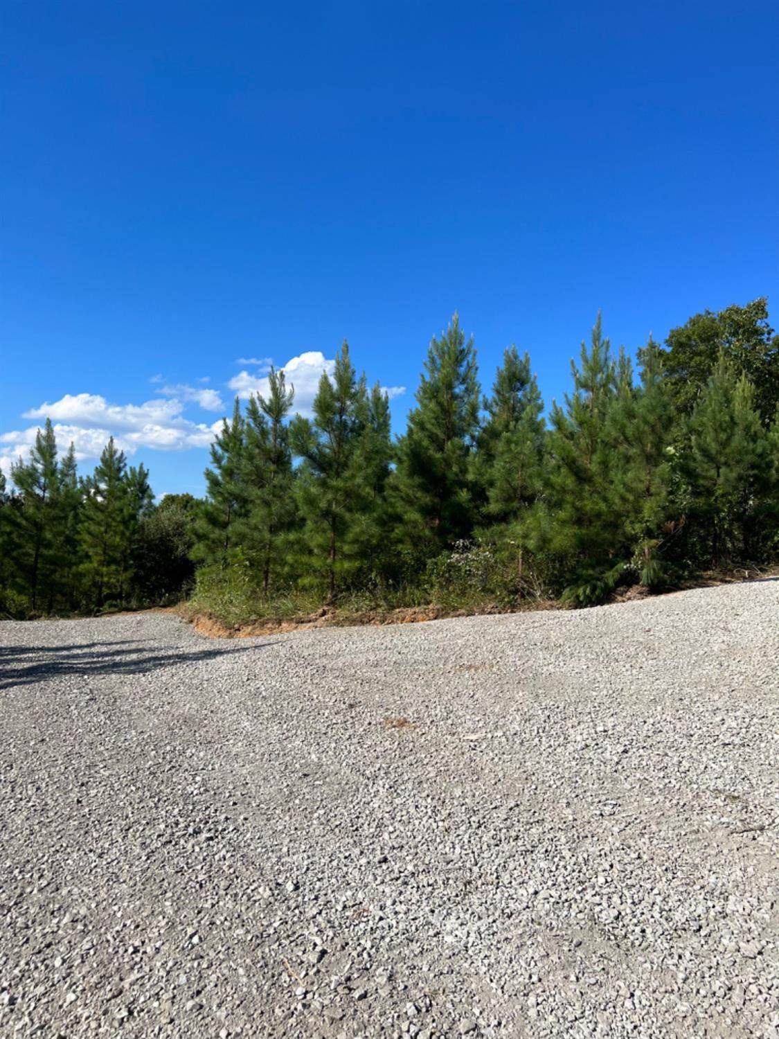 0 Spohn Rd - Photo 1