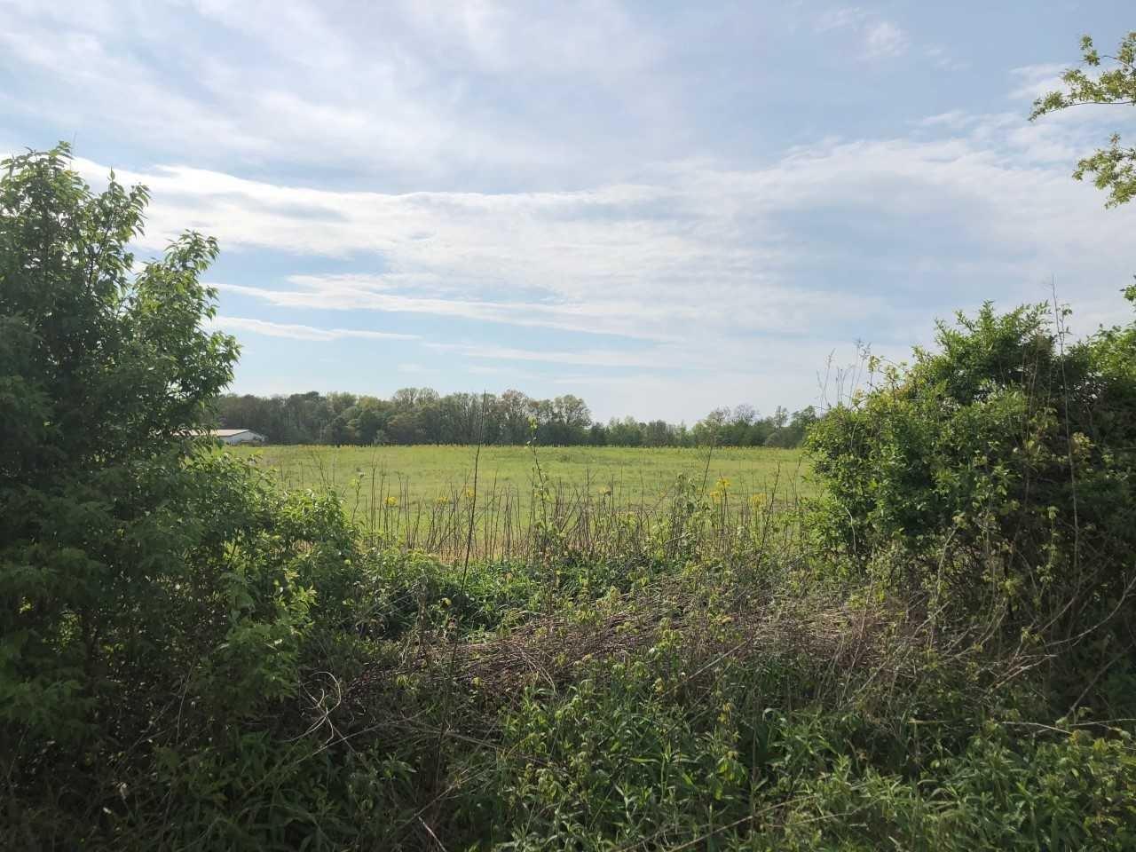 8875-1003 Zoar Road - Photo 1
