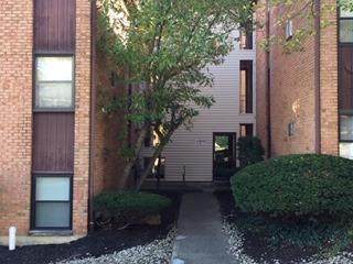 4908 Chalet Drive - Photo 1