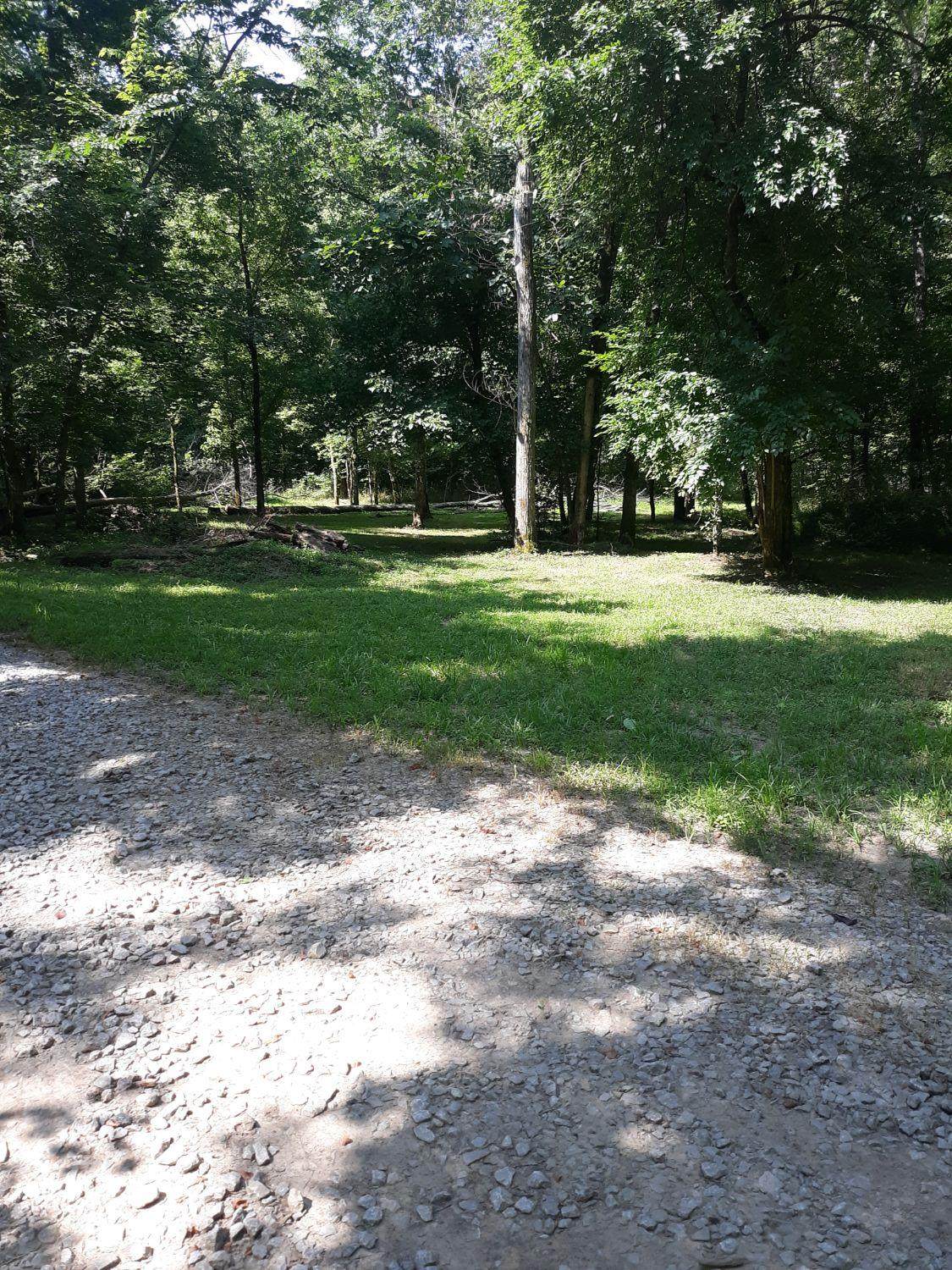 0 Flaugher Road - Photo 1