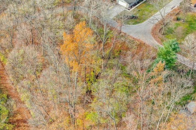 12138 Cedar Dr - Photo 1