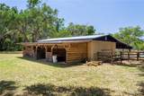 3729 Lecanto Highway - Photo 68