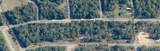 2055 Corrine Street - Photo 3