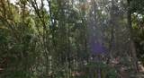 2820 Fairway Loop - Photo 2