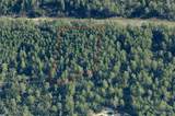 4502 Abeline Drive - Photo 1