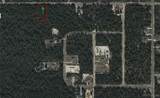 4502 Abeline Drive - Photo 3