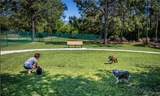 389 Doerr Path - Photo 84