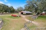 7088 Lecanto Highway - Photo 19