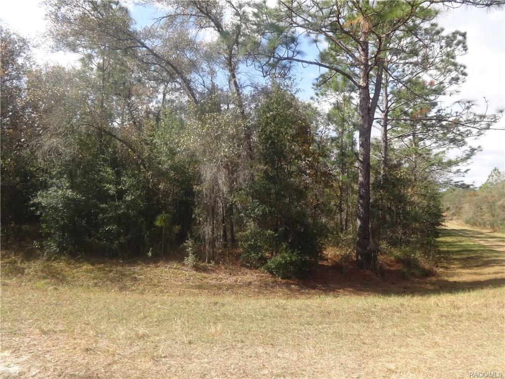 0 125th Terrace - Photo 1