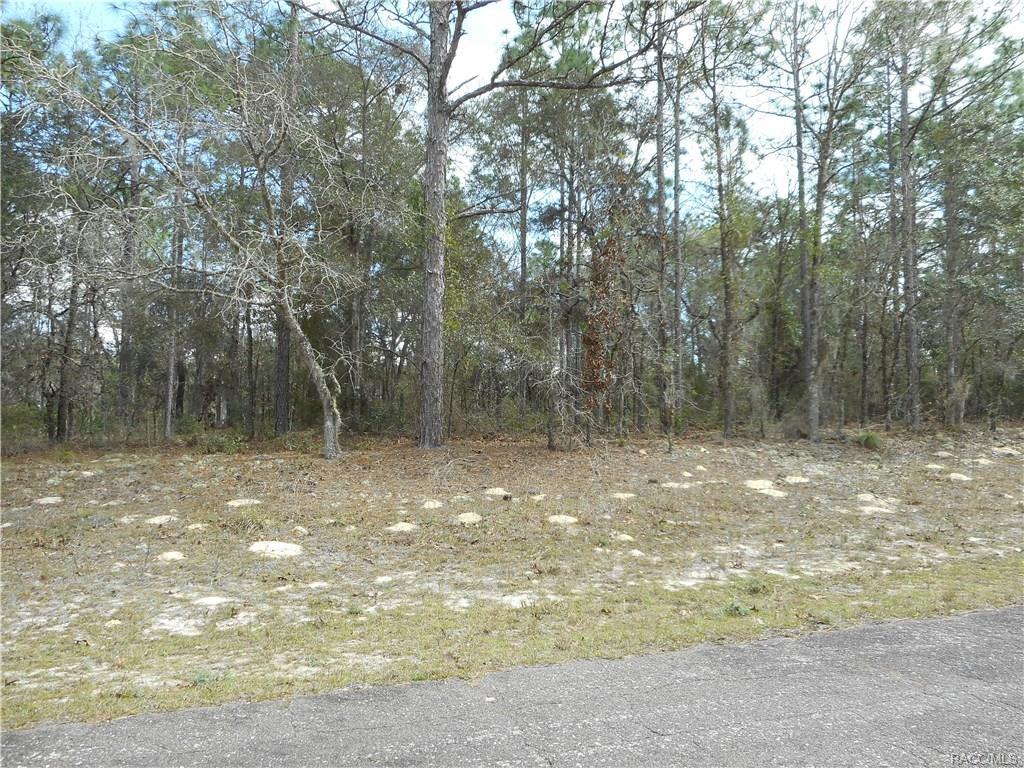 9889 Langdon Road - Photo 1