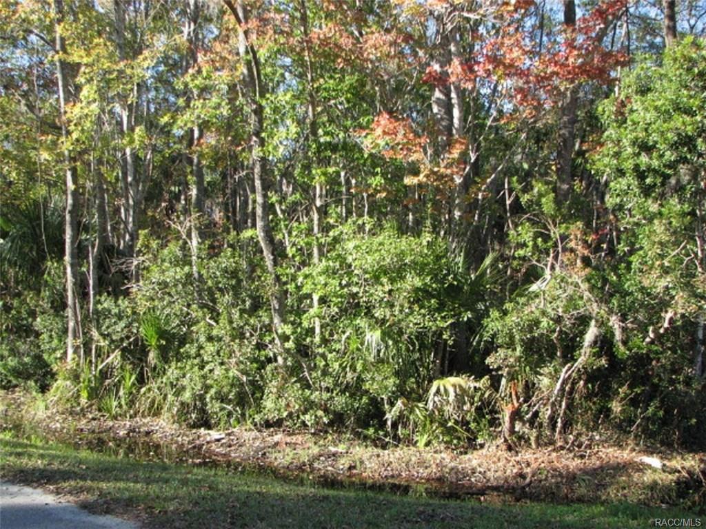 0 5th Avenue - Photo 1