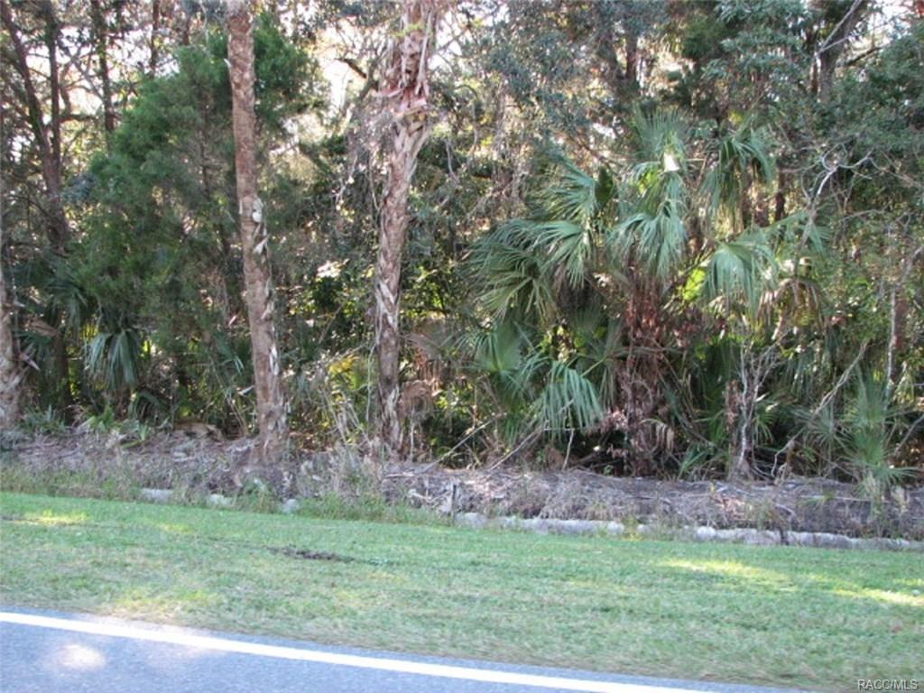 0 1st Avenue - Photo 1