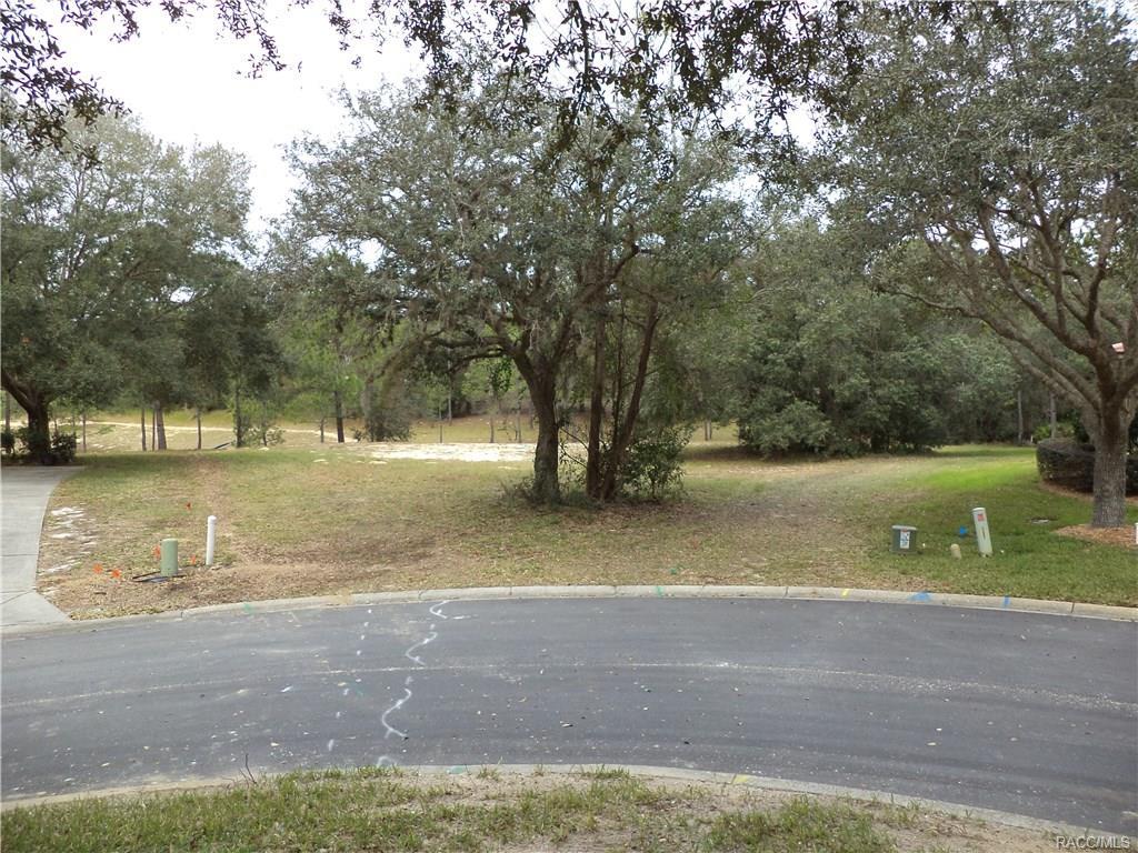 3700 Treyburn Path - Photo 1