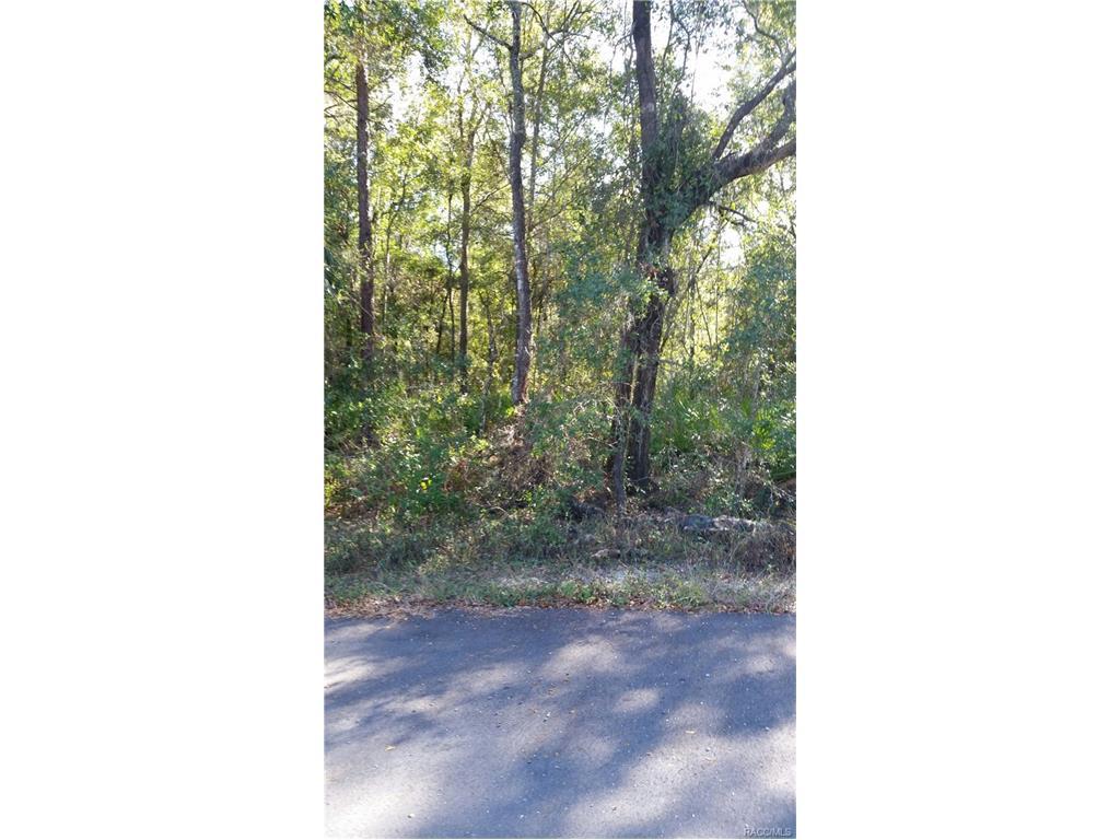 9770 Watermelon Lane - Photo 1
