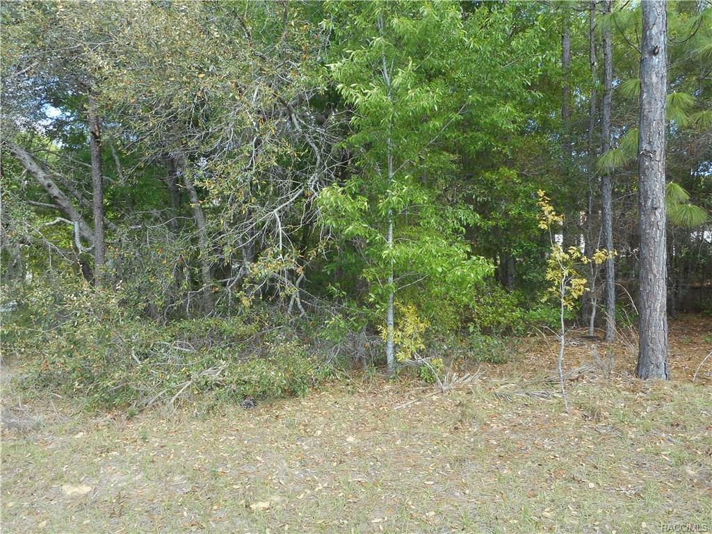 1039 Drexel Place - Photo 1