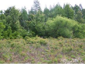 7581 Gulf-To-Lake Highway - Photo 1