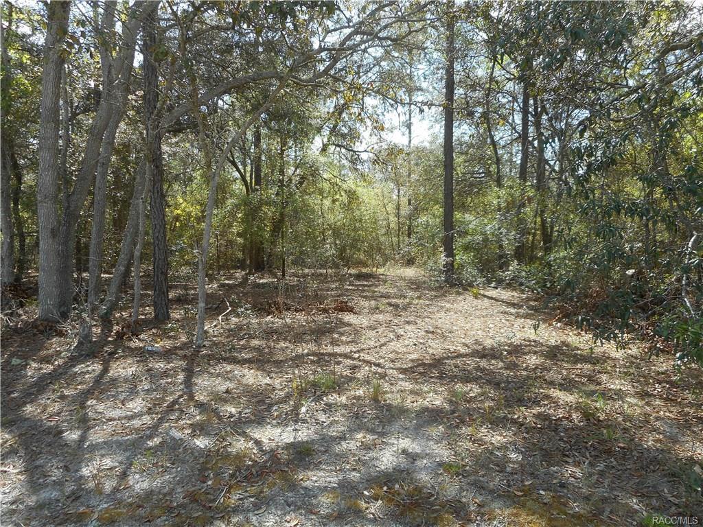 652 Duquet Place - Photo 1