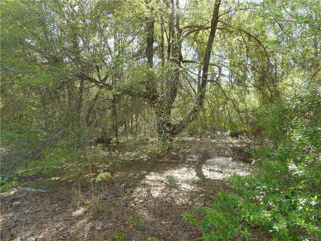 638 Duquet Place - Photo 1