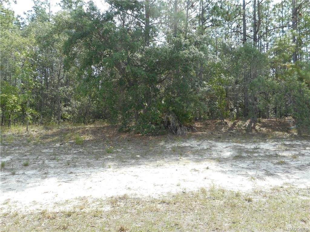 8607 Deltona Boulevard - Photo 1