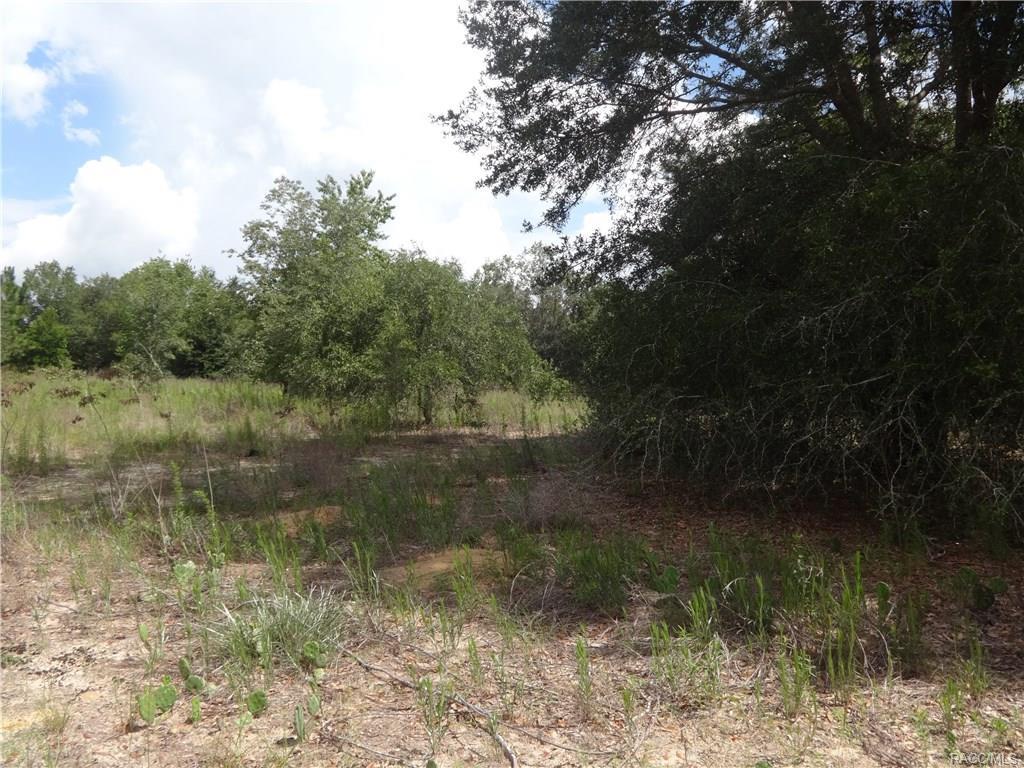 2508 Adams Street - Photo 1