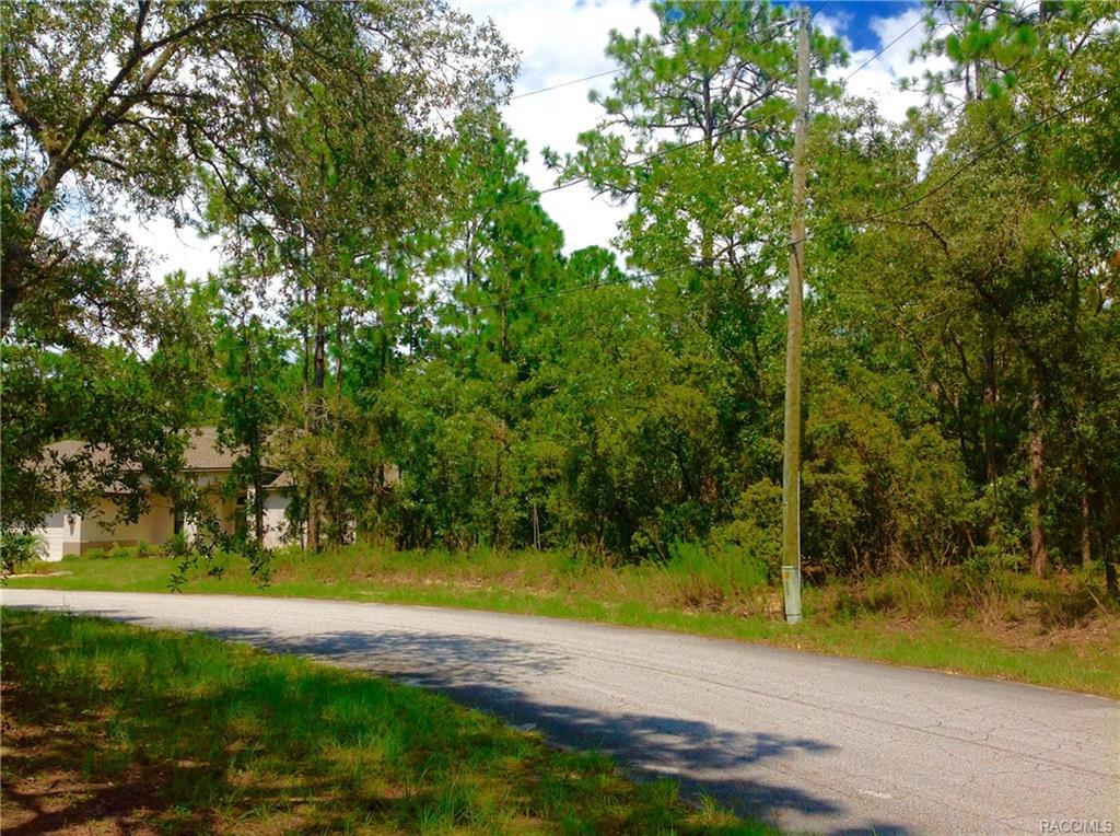 25 Whitewood Court - Photo 1