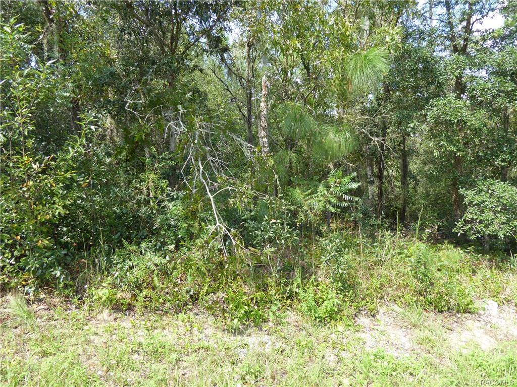 2521 Newhaven Street - Photo 1