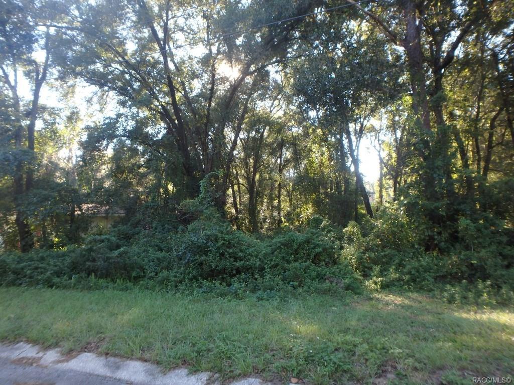 3366 Dayton Terrace - Photo 1