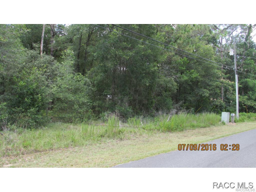 6647 Lynn Street - Photo 1
