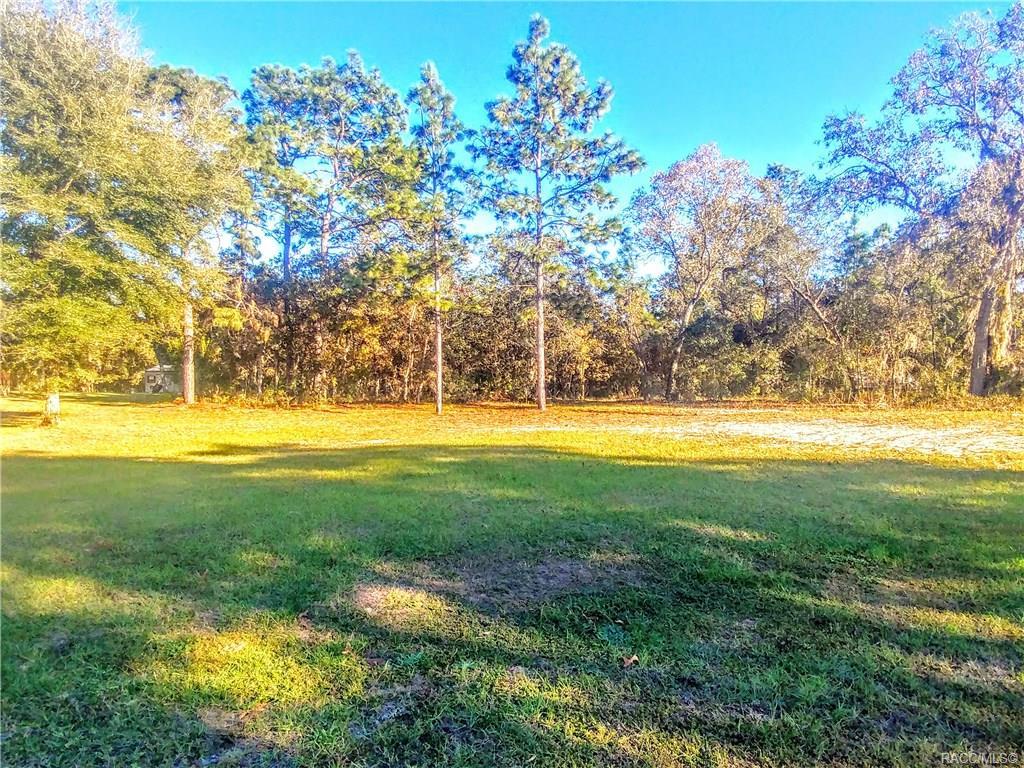 4435 Capistrano Loop - Photo 1