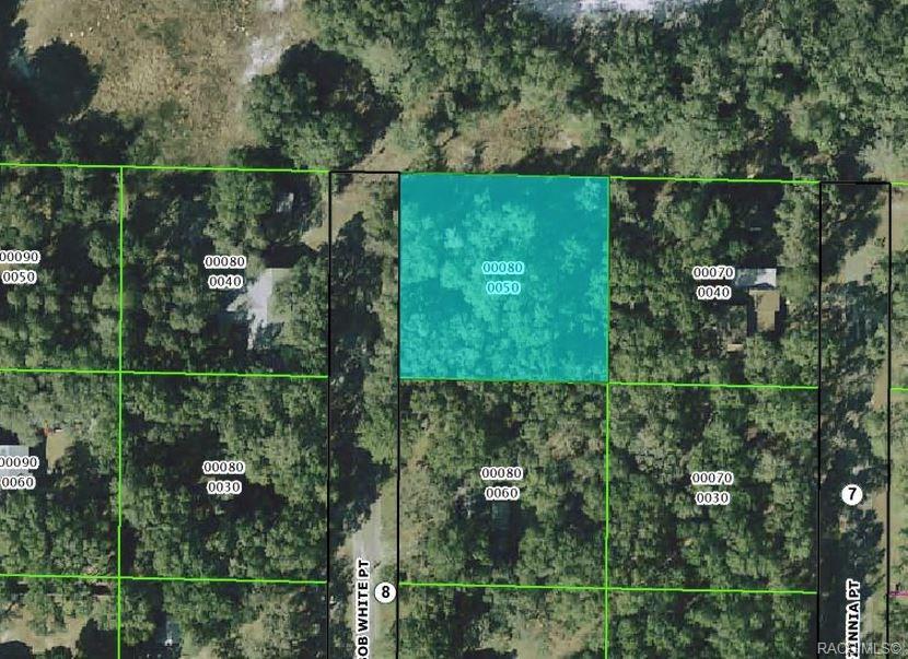 193 Bobwhite Point - Photo 1