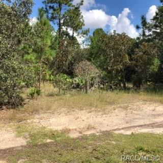 6229 El Dorado Lane - Photo 1